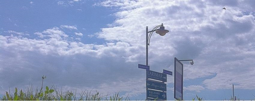 Links - Dr. Werner Walisch